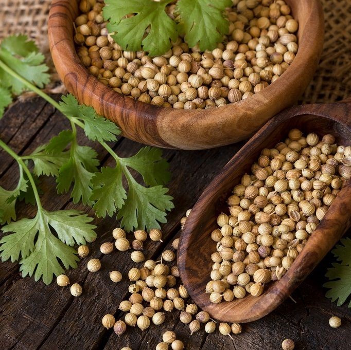 دانه گشنیز