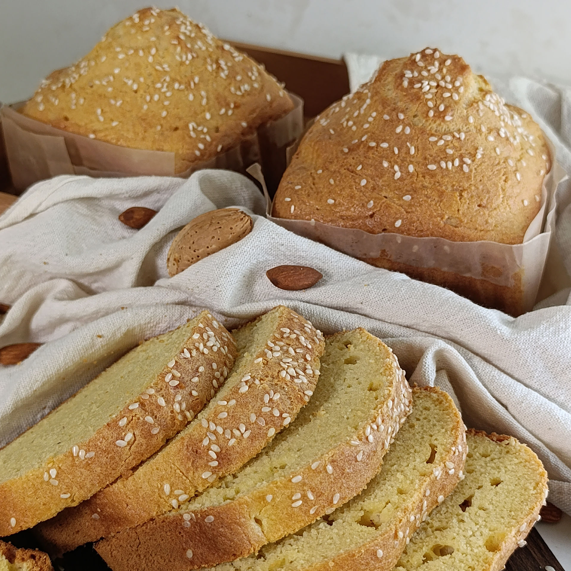 پودر نان تست رژیمی | کتوژنیک- با آرد بادام - بسته های 340 گرمی